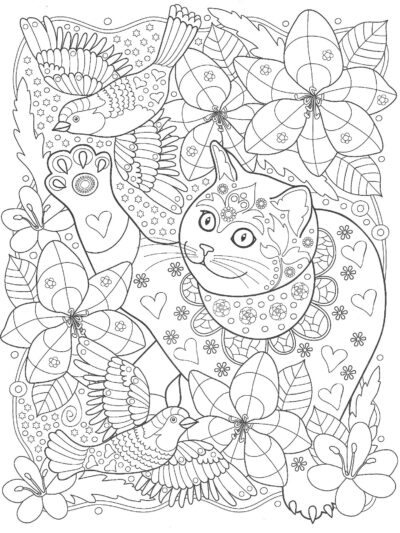 Кошка с птицами