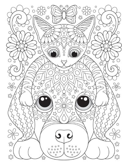 Дружба — кошка и собака