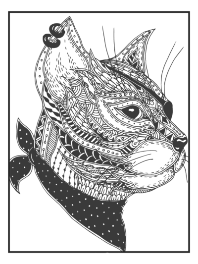 Кот пират