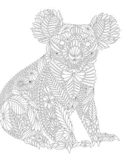 Коала